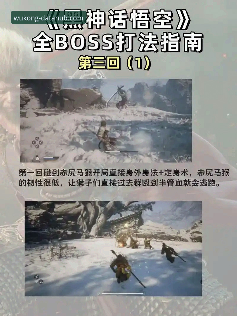 悟空体育赛事分析App安装失败问题排查与解决完整指南