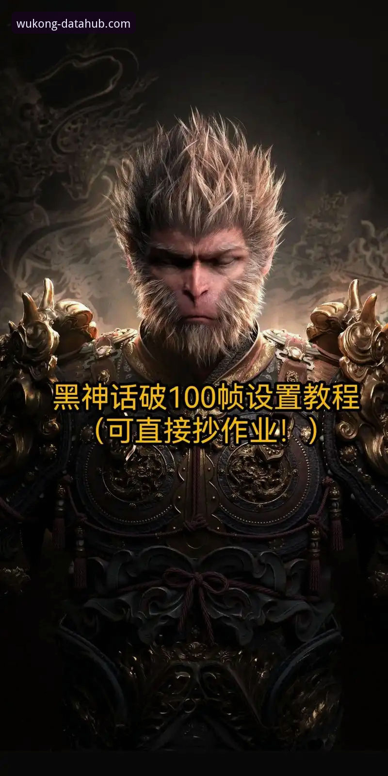 悟空体育平台2026最新版本数据分析功能使用教程